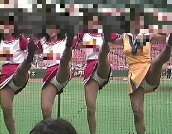 カバー