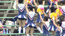 カバー