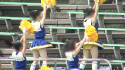 カバー