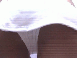 カバー