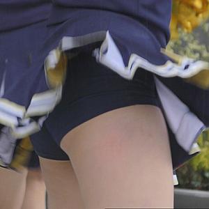 カバー