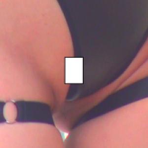 カバー