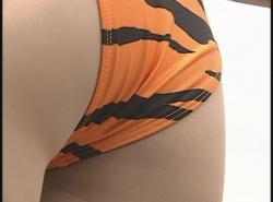 カバー