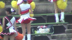 カバー