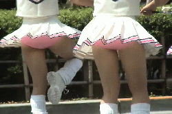 カバー