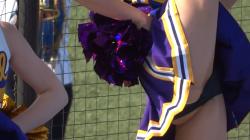 カバー