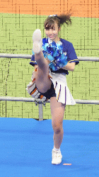 カバー