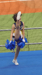 カバー