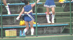 カバー